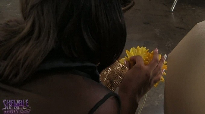 2016/April/janemariewolf